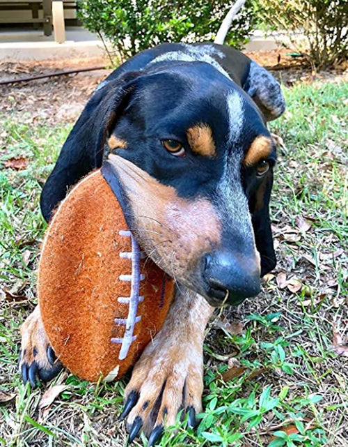 Load image into Gallery viewer, Football Gripz Fetch Toy, Squeaky Ball Chew Toy for Dogs, Medium (1 Count) Medium
