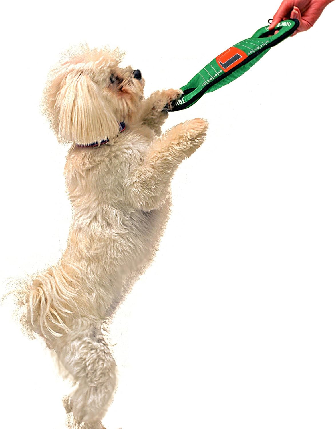 NCAA Football Field Dog Toy with Squeaker. - Miami Hurricanes - for Tug, Toss, and Fetch. - Tough& Durable PET Toy