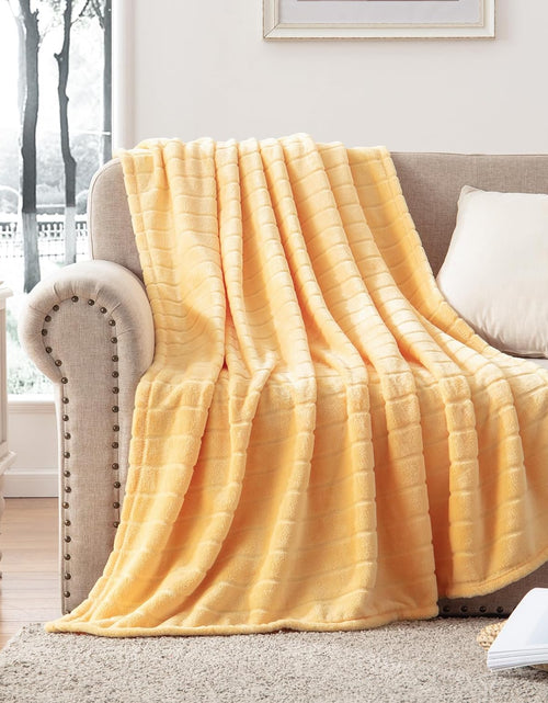 Load image into Gallery viewer, Decorative Stripe Lightweight Fleece Cozy Sofa Bed Seasons Throw 330 GSM Soft Plush Fuzzy Warm Fluffy Blanket, 50&quot;x 60&quot;, Yellow
