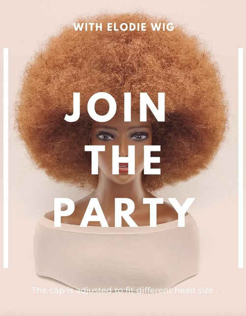 Load image into Gallery viewer, Afro Wigs for Black Women Short Curly Afro Kinky Wig 70s Funny Large Bouncy Fluffy Puff Wigs, Brown
