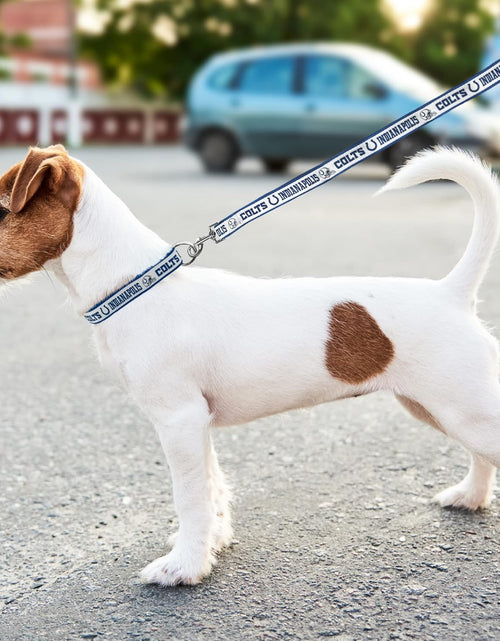 Load image into Gallery viewer, PET Leash Indianapolis Colts Dog Leash, Small Football Team Leash for Dogs &amp; Cats
