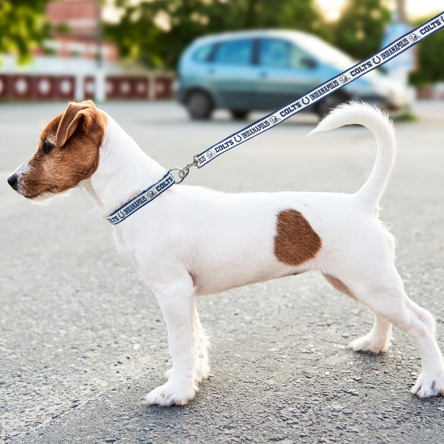 PET Leash Indianapolis Colts Dog Leash, Small Football Team Leash for Dogs & Cats