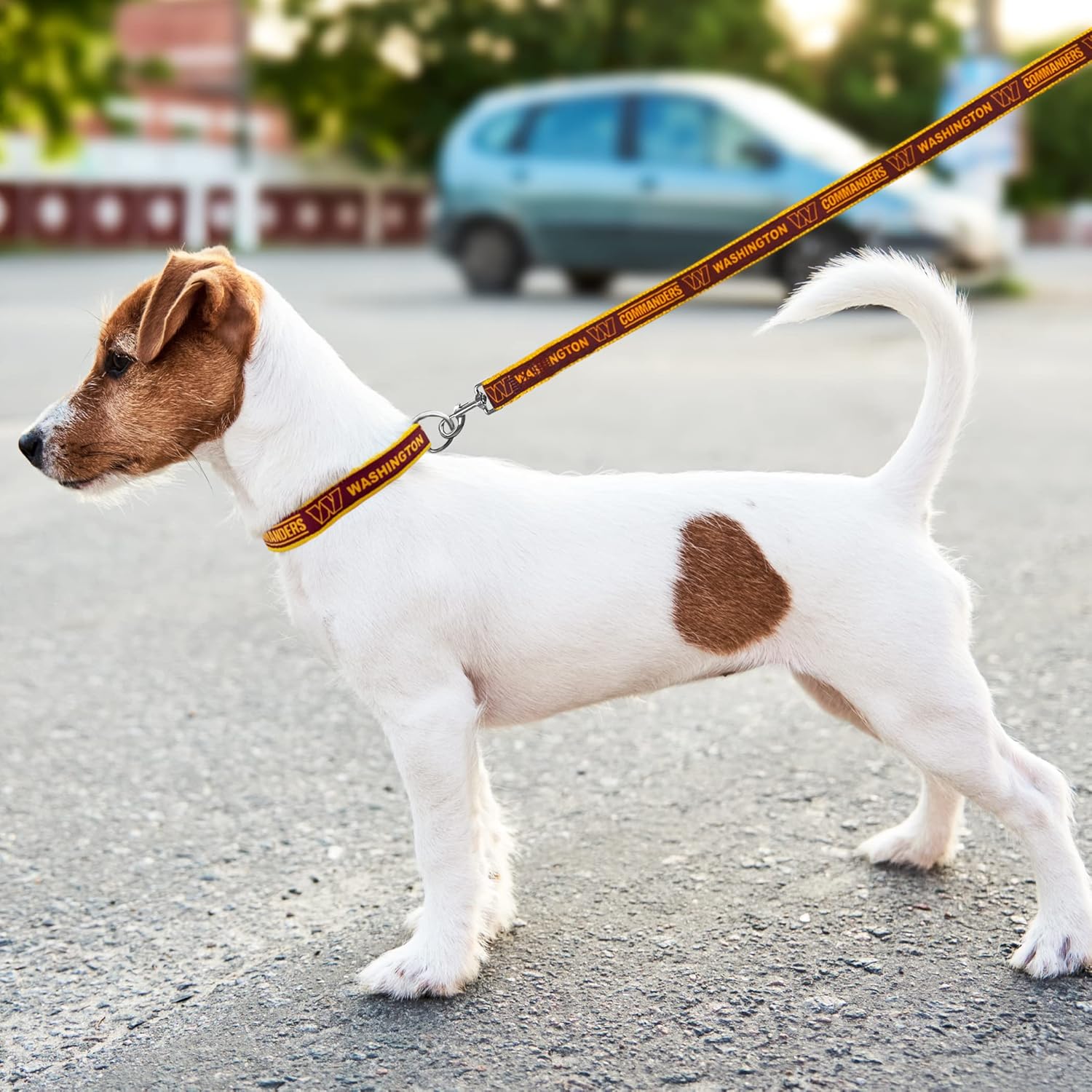 NFL PET Leash Washington Commanders Dog Leash, Medium Football Team Leash for Dogs & Cats