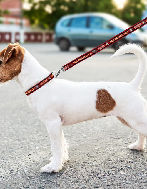 Load image into Gallery viewer, San Francisco 49ers NFL Dog Collar
