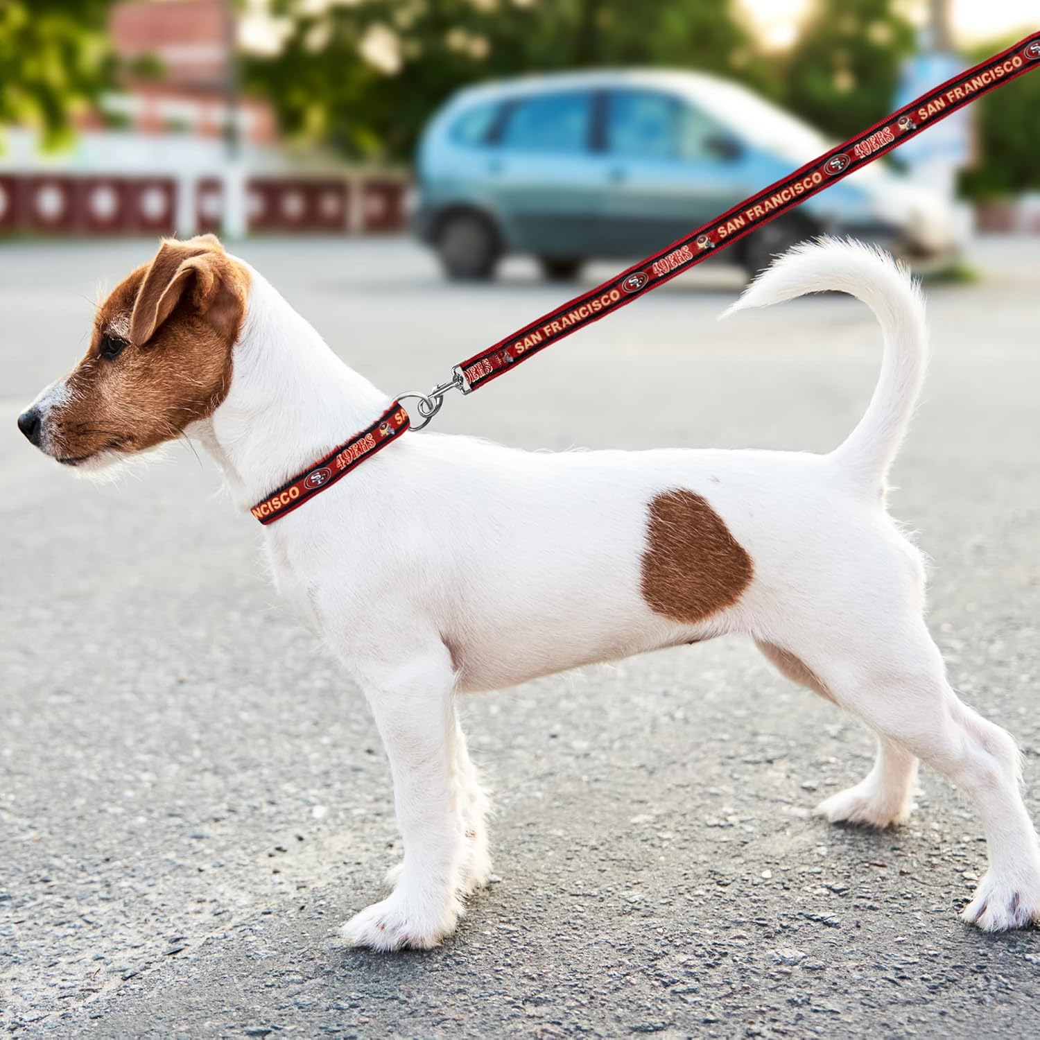 San Francisco 49ers NFL Dog Collar