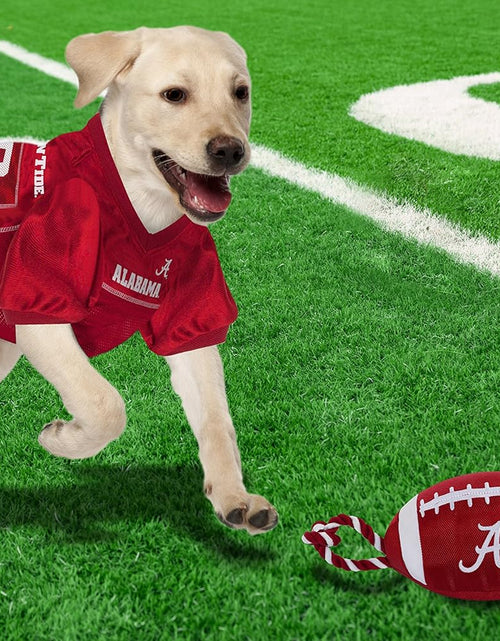 Load image into Gallery viewer, NCAA Alabama Crimson Tide Football Dog Toy, Tough Quality Nylon Materials
