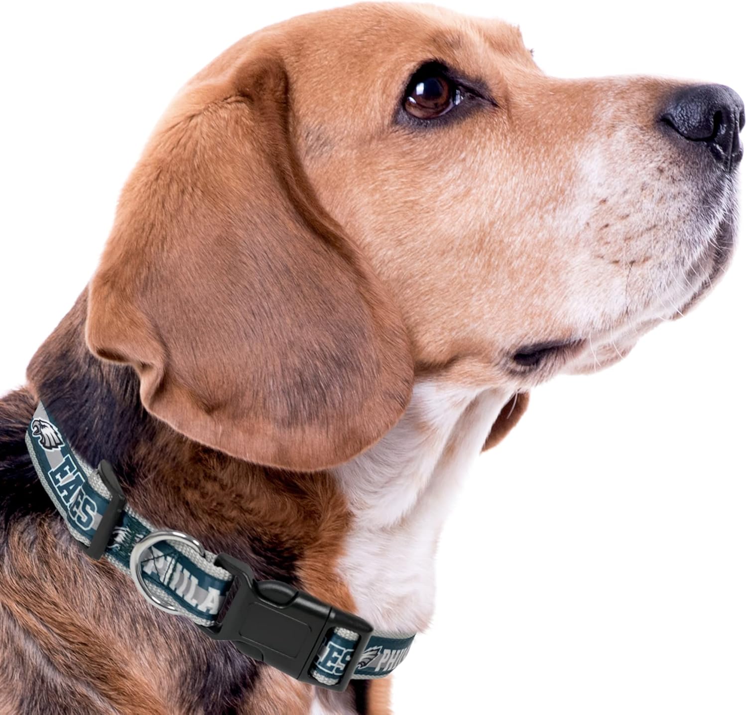 NFL Philadelphia Eagles Licensed PET COLLAR, Large - Heavy-Duty, Strong, and Durable Dog Colla