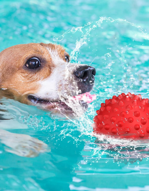 Load image into Gallery viewer, Dog Balls Squeaky Dog Toys for Large Dogs, Dog Toys for Aggressive Chewers, Floatable Rubber Pet Toys for Medium Breed Pack of 2
