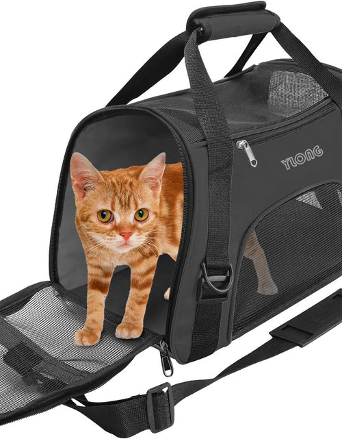 Load image into Gallery viewer, Soft-Sided Pet Travel Carrier for Cats Dogs Puppy Comfort Portable Foldable Pet Bag (Small - Black)
