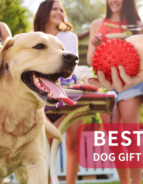 Load image into Gallery viewer, Dog Balls Squeaky Dog Toys for Large Dogs, Dog Toys for Aggressive Chewers, Floatable Rubber Pet Toys for Medium Breed Pack of 2
