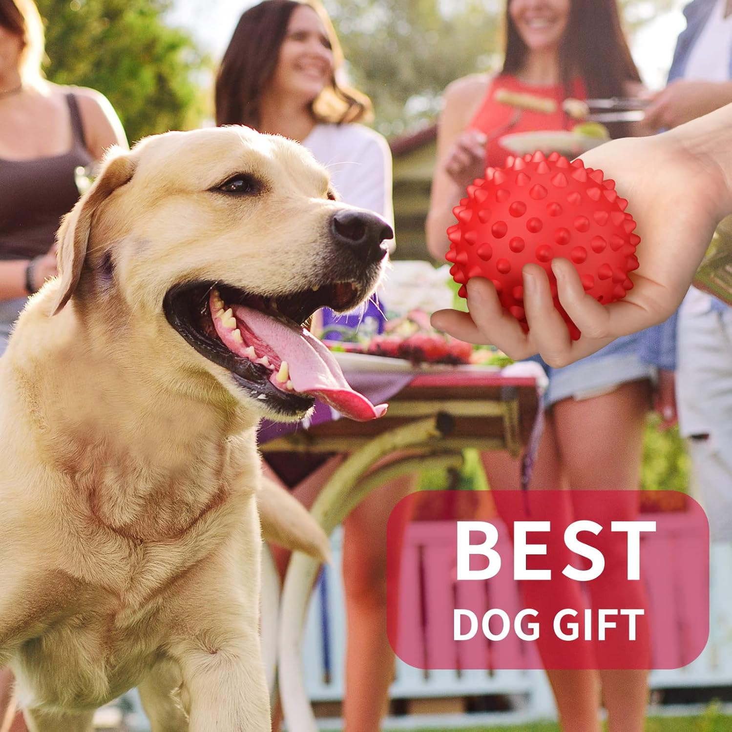 Dog Balls Squeaky Dog Toys for Large Dogs, Dog Toys for Aggressive Chewers, Floatable Rubber Pet Toys for Medium Breed Pack of 2