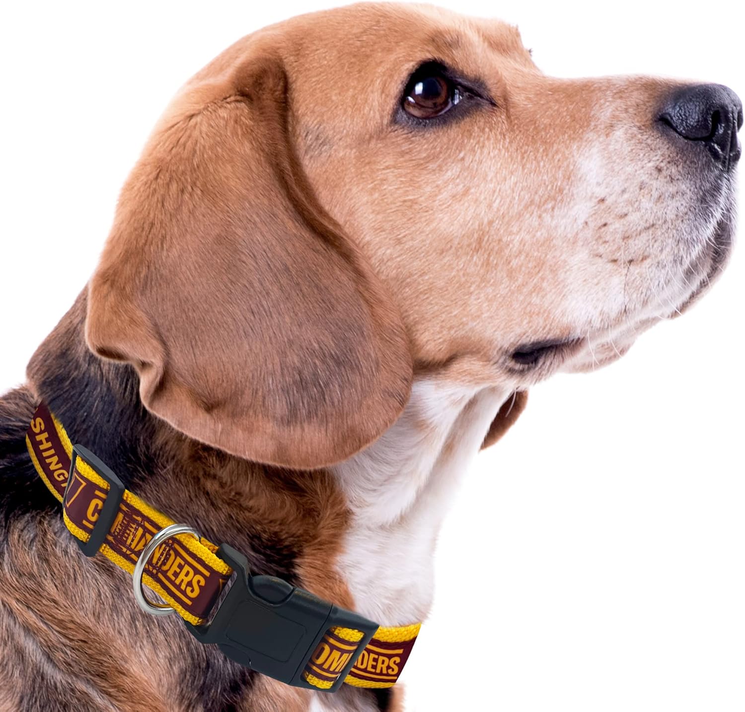 NFL PET Collar Washington Commanders Dog Collar, Large Football Team Collar for Dogs & Cats (WAC-3588-LG)