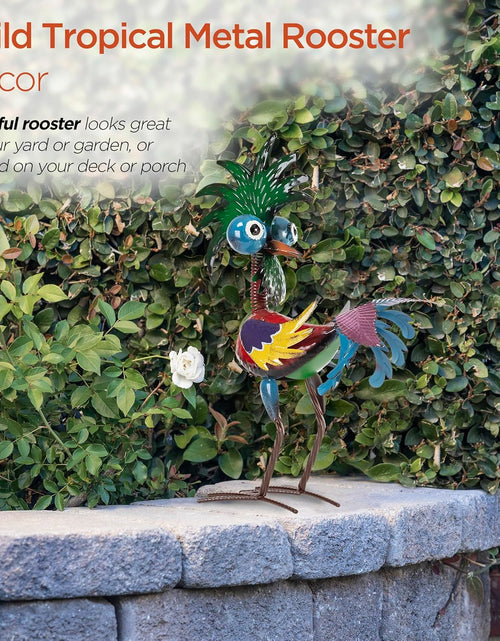 Load image into Gallery viewer, 19&quot; Tall Wild Tropical Metal Rooster Yard Statue outdoor garden decoration
