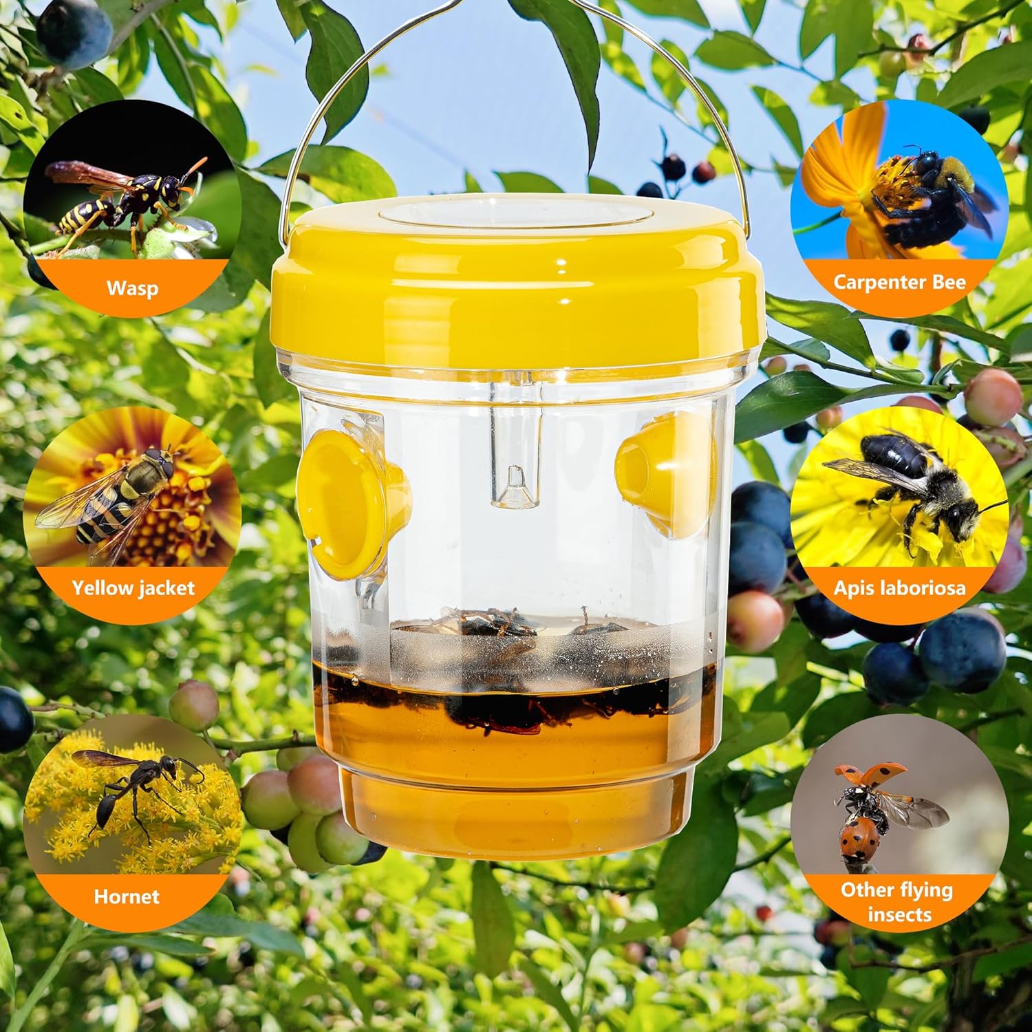 3 Pack Wasp Traps Outdoor Hanging, Solar Bee Trap for Outside Garden